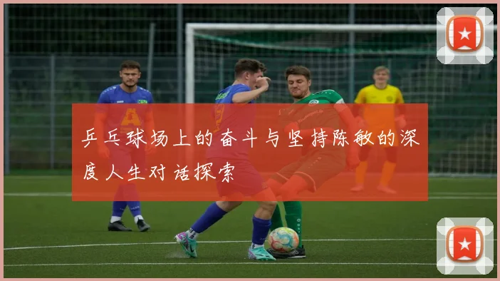 乒乓球场上的奋斗与坚持陈敏的深度人生对话探索