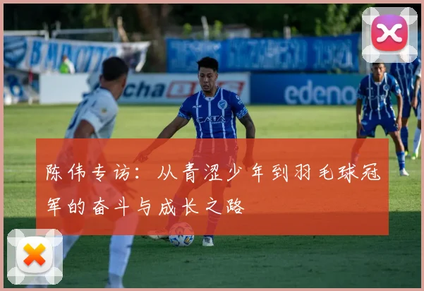 陈伟专访：从青涩少年到羽毛球冠军的奋斗与成长之路