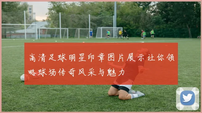 高清足球明星印章图片展示让你领略球场传奇风采与魅力
