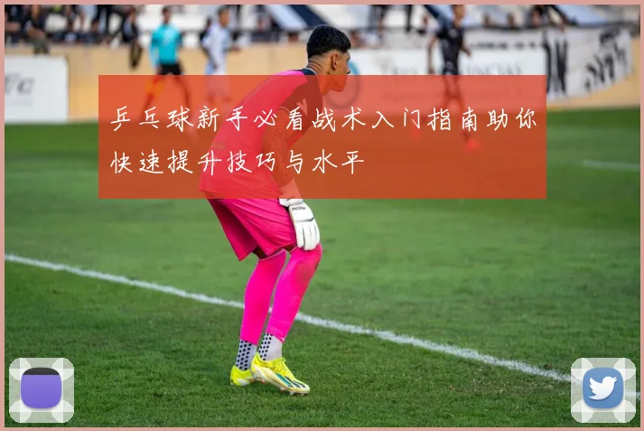 乒乓球新手必看战术入门指南助你快速提升技巧与水平