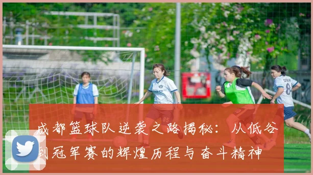 成都篮球队逆袭之路揭秘：从低谷到冠军赛的辉煌历程与奋斗精神