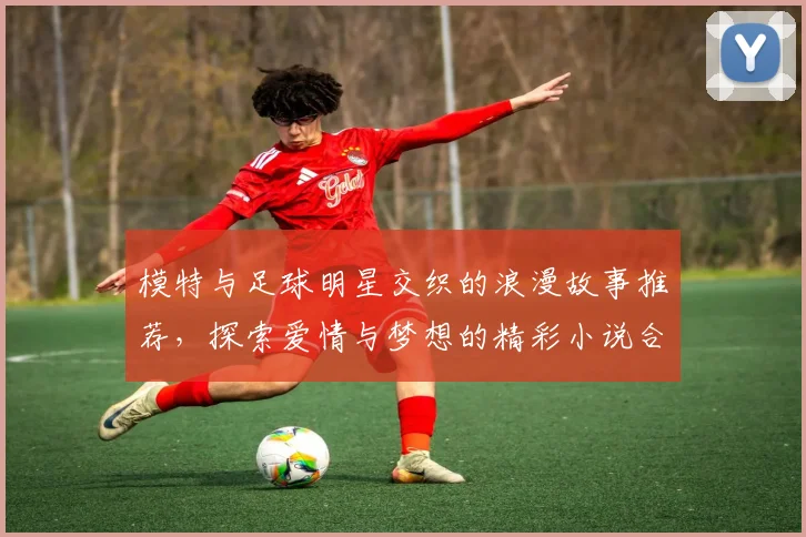 模特与足球明星交织的浪漫故事推荐，探索爱情与梦想的精彩小说合集
