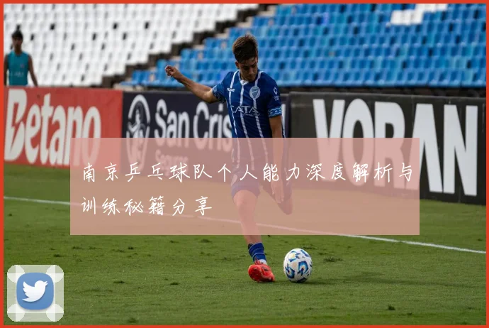 南京乒乓球队个人能力深度解析与训练秘籍分享
