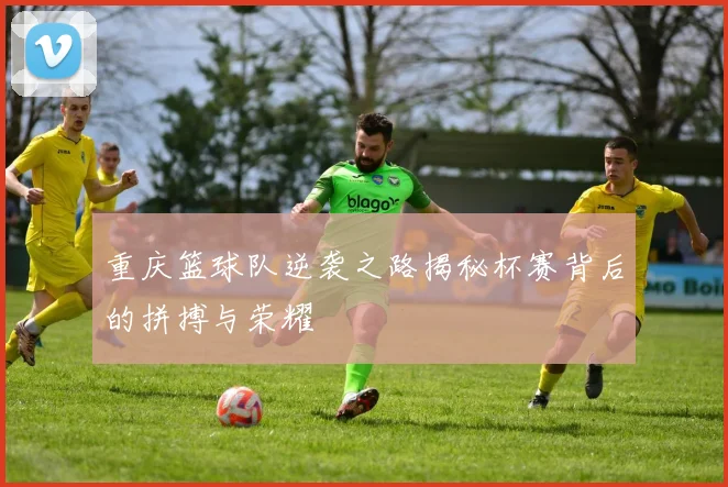 重庆篮球队逆袭之路揭秘杯赛背后的拼搏与荣耀