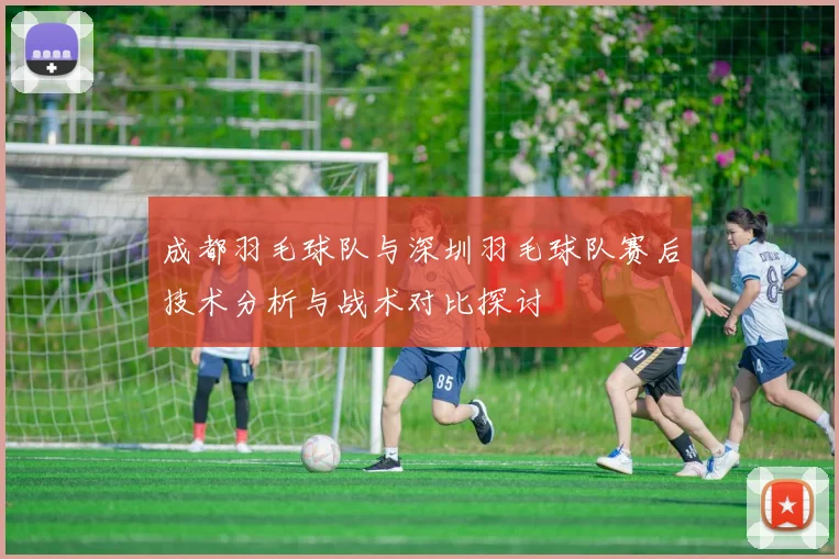 成都羽毛球队与深圳羽毛球队赛后技术分析与战术对比探讨