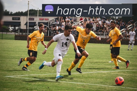 广州排球队的蜕变之路：从默默无闻到世界舞台的辉煌历程